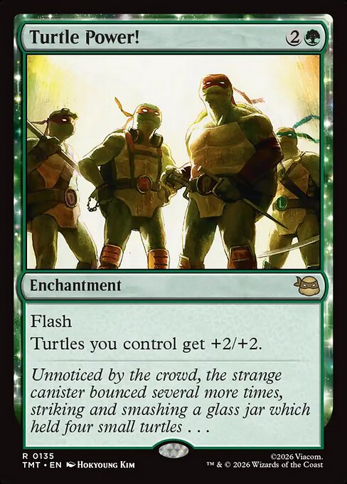 Turtle Power!