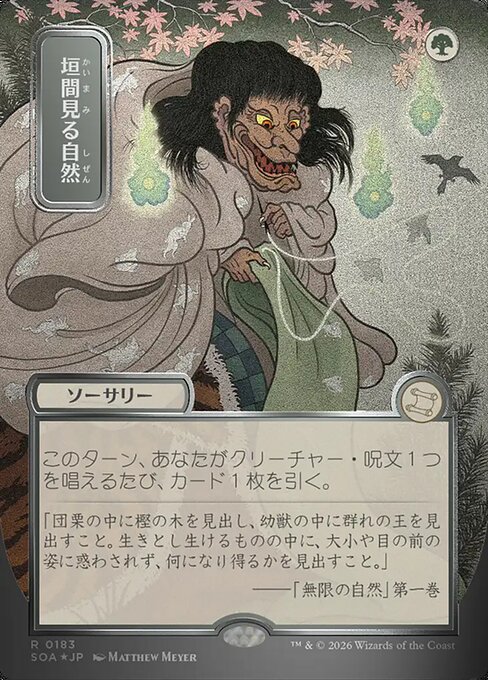垣間見る自然