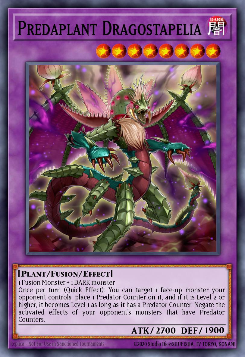 Dragostapelia Prédaplante