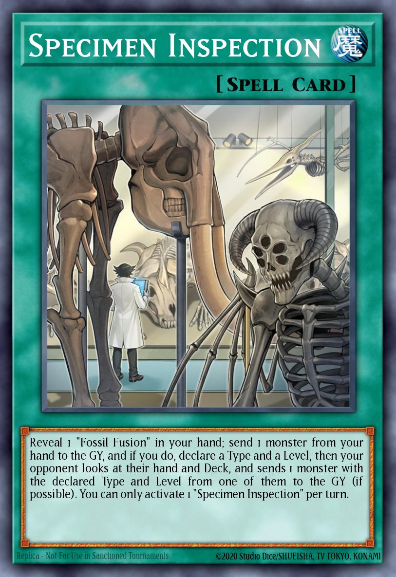 Inspection de Spécimens