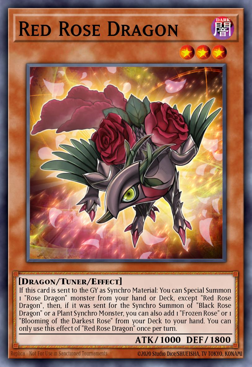 Drago Rosa Rossa
