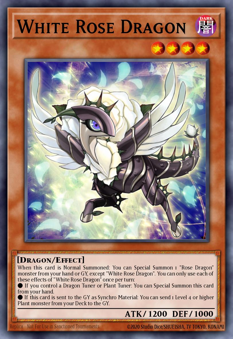 Drago Rosa Bianca